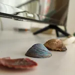 Aliving Colo * ראשו